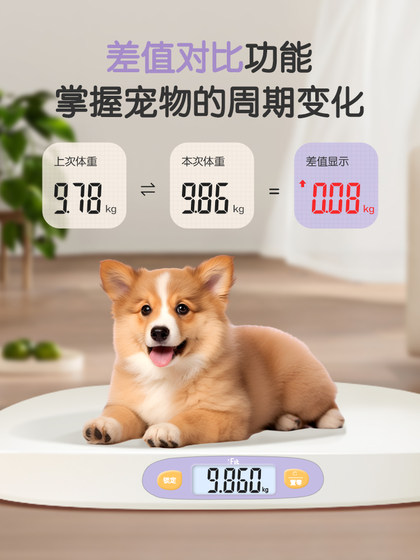 宠物专用体重秤大型狗狗猫咪称重器家用小动物称宠物店精准电子秤
