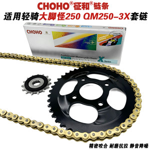 Suitable for Qingqi Youxia Qm250-3X Bigfoot 250 Crankset Chainring Chain Sprocket Zhenhe Oil Seal Chain