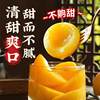 Canned Yellow Peach 510g Fresh in Syrup Delicious Ready-To-Eat Popular Snack Whole Box New Year Goods
