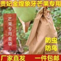 Mango bag waterproof and breathable loquat pear grape peach pomegranate cherry pear insect-proof and bird-proof sun protection bag