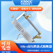 Xirong drop-out fuse 10kv high voltage RW12-15 100-200A outdoor insurance Lingke switch