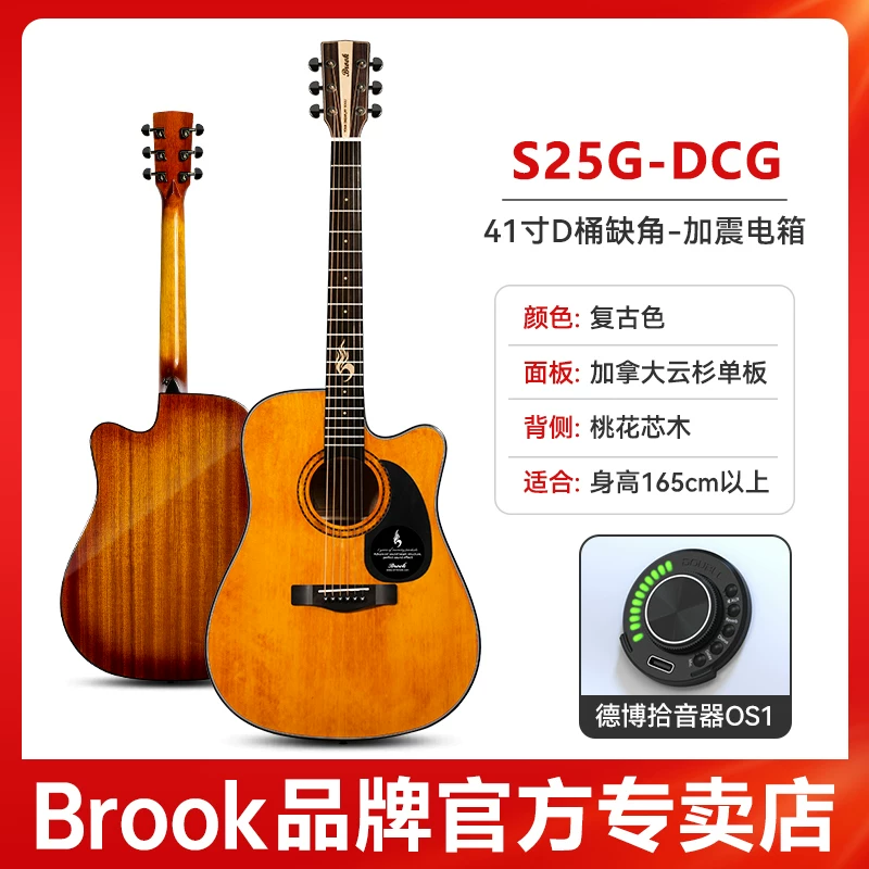Гитара-однокорпус Brook Brook s25 — официальный флагманский продукт
