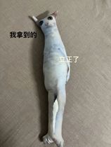 Ugly cat pillow without white edges Customized picture and printed photo Customized special-shaped cat and dog simulation abstract sand sculpture funny plush