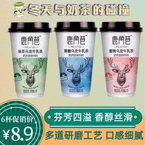 Deer Corner Alley Milk Tea 80g Cup Strawberry Cows Milk Classic Cows Milk Black Sugar Taste Cows Milk Energy Sprint Sweet Harbor Style