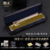 【28 отверстие Полифоническое золото】+Полный набор подарков 【с фонетическим символом】