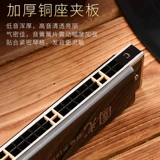 Профессиональная губная гармошка для взрослых для начинающих подходит для мужчин и женщин, Шанхай