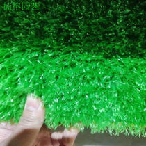 Nanrong gardening simulation lawn mat fake grass green wall green space turf artificial carpet outdoor balcony children