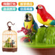 Children's Bird Cage Toy Electric Voice-Activated Sensor Bird Artificial Bird with Sound Can Move and Bark Baby Kindergarten