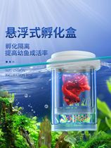 Guppy breeding box fish tank isolation box small fish baby fish mother fish delivery room fry suspended floating incubation box tank