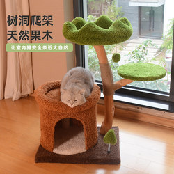 Cat Climbing Rack For Home Small Apartment Cat's Nest Cat Climbing Rack Integrated Solid Wood Cat Rack Pet Cat Climbing Rack