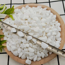 Sichuan Baishizi courtyard landscape paving pebbles fish tank succulent potted pavement decoration white large and small stones