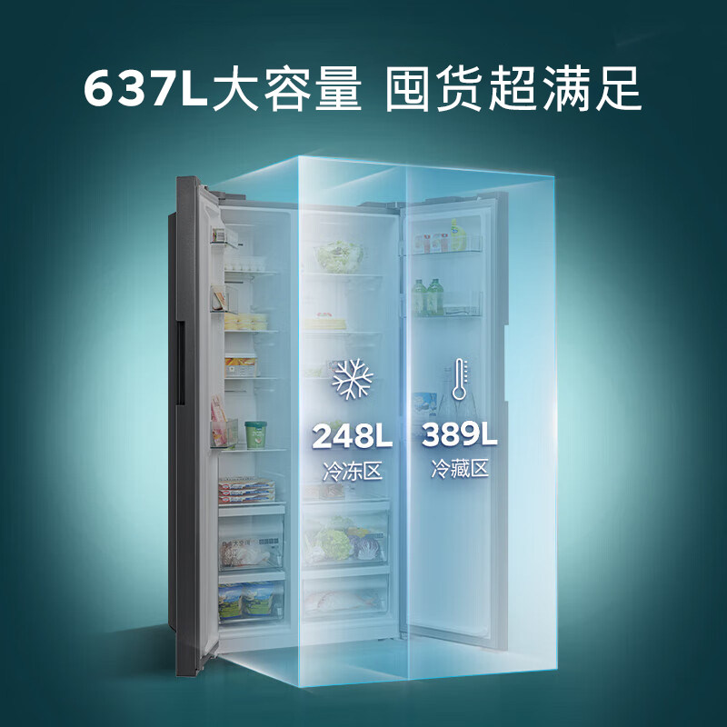 西门子KT99V1250C冰箱图片