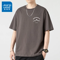 Маленькая снежная гора серая коричневая