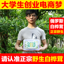 Birch velvet Imported from Russia wild 500g birch velvet original birch tear birch brown pore fungus medicinal materials