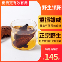 Authentic Suoyang winter wild Golden Suoyang Premium male tonic sparkling wine Material 500g