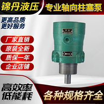 2 5MCY 5YCY 10MCY 25MCY 63MCY 80MCY 160MCY14-1B axial piston pump