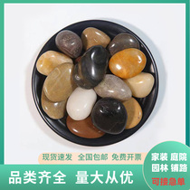 Inner Mongolia Flower Pots Decoration Gardening Colorful Goose Pebble Colorful Courtyard Colorful Goose Pebble Cobblestone Natural Small Stones