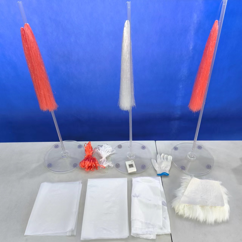 [Electronic Interaction and Electrical Field Lines Simulation Demonstrator] the Interesting Physics Experiment of the Taoism