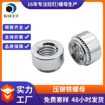 Dongguan carbon steel galvanized iron pressure rivet nut flower tooth sheet metal pressure plate round nut thin plate riveting nut M3M8