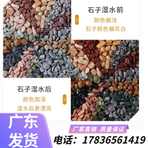 Guangdong terrazzo stone adhesive stone floor gravel stone washed stone washed stone rice grain stone decorative washed rice stone