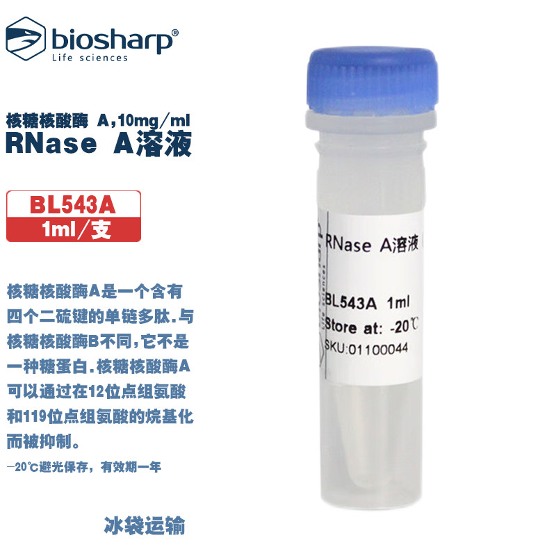 BIOSHARP LIFE SCIENCES 白鲨 BL543A RNase A溶液(核糖核酸酶 A,10mg/ml)含有四个二硫键的单链多肽 1ml/支