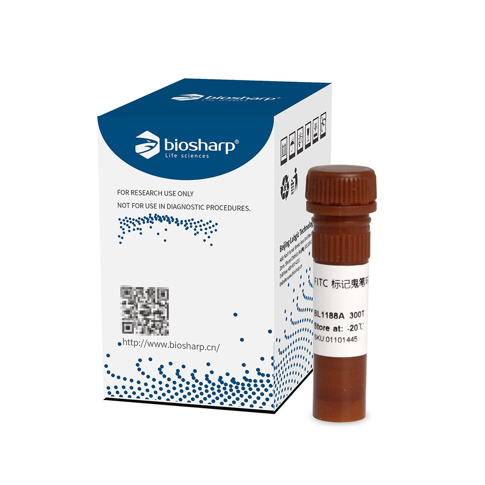 Biosharp/白鲨 BL1188A Phalloidin FITC标记鬼笔环肽 BL1189A