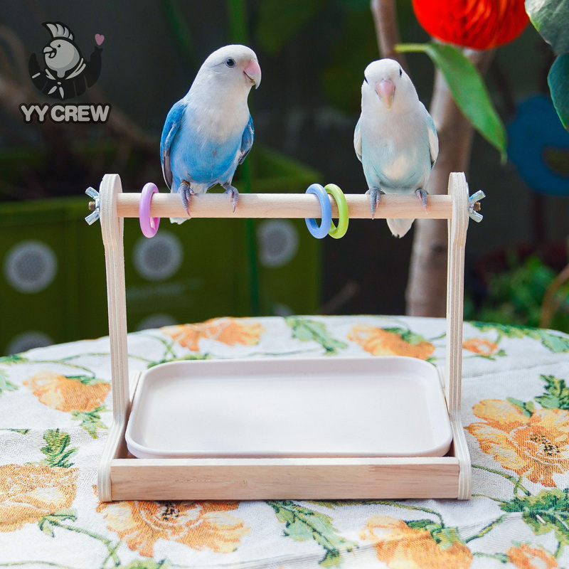 Parrot Team Cano Parrot Desktop Poop Station Wooden Stand for Small Sun Conures and Budgies Resting and Standing Supplies