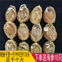 Send sea cucumbers Big abalone dry a catty of 500g about 140 Tver hops Jumping Wall Raw Material Grade Seafood Dry Goods Gift Box Dress