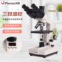 Phoenix optical biological microscope professional grade livestock breeding artificial insemination laboratory temperature control XSP-30W