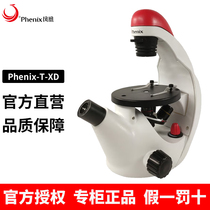 Phoenix Optical Biological Microscope Childrens Junior High School and Elementary School Laboratory Special Mobile Phone Can See Bacteria T-XD