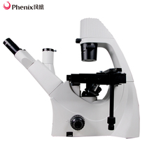 Dynamic phase contrast observation of bacterial cell culture dishes with Phoenix inverted biological microscope infinity optical system