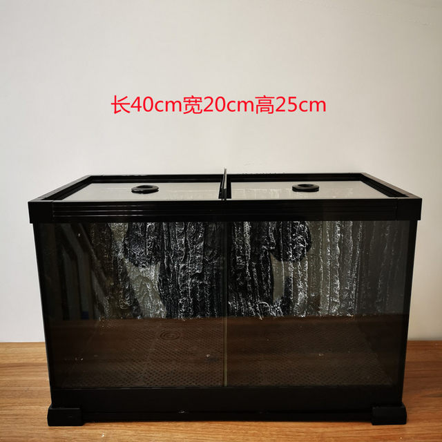 Thunder Dragon Group Tank Chinese Betta Small Paired Fish Training PK Tank Side Back Filter Two-Gate Covered Glass Double Fish Tank