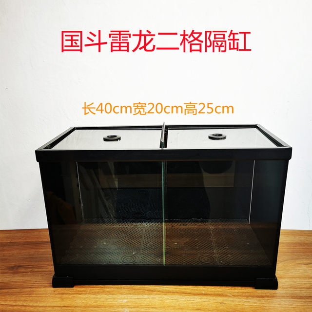 Brontosaurus group tank back filter fish with cover Chinese bucket small paired fish training PK tank with two grids on the side plus glass double fish tank