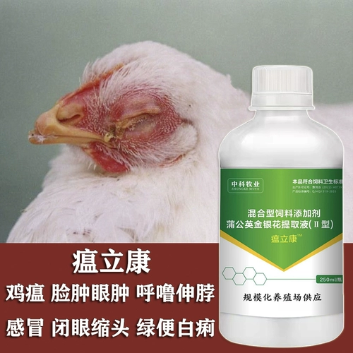 Чума Иханг Венликанг подходит для курицы, утки, бедности гусиного голубя, сон, без прорастания, воды, натуральной куриной птицы Тайк