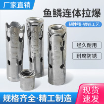 Fish Scale Conjoined Laburst Suspended Ceiling Integrated Expansion Screw Expansion Bolt Porous Foam Brick Expansion Tube Bursting M68M10