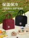 Insulated Lunch Bag, Tote Bag, Lunch Box Bag, Lunch Bag for Work and School, Lunch Box Holder Bag