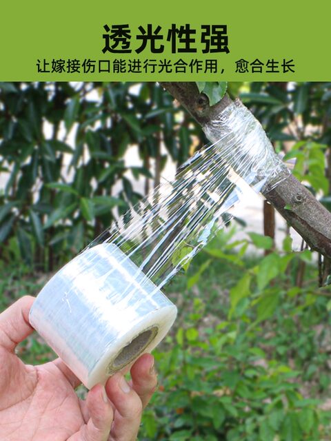 Peach Tree Grafting Film, Glutinous Rice No-Disassembly Grafting Film, Fruit Tree Grafting Film, Special Film, Wrapping Film, Grafting Frame Film, Grafting Film