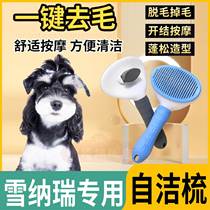 Schnauzer special pet supplies small dog massage and grooming dog hair removal needle comb brush comb cleaner