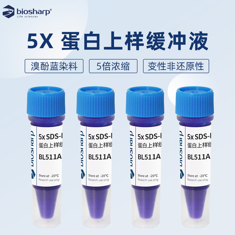 白鲨biosharp BL511A 5x SDS-PAGE蛋白上样缓冲液 变性非还原性
