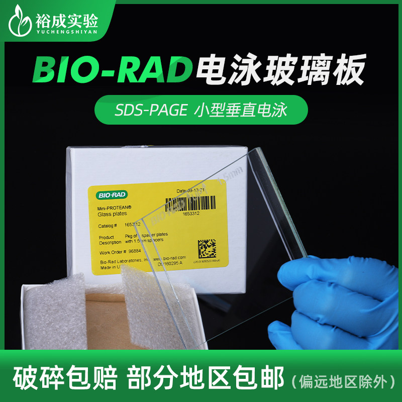 裕成实验电泳玻璃短板WB电泳厚玻璃板长板适配伯乐Bio-rad电泳槽