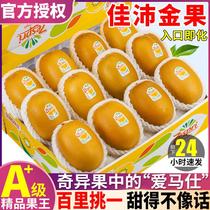 Gift box 12 grain Jiapitai Exotic Fruits Fresh Kiwi Italy Imports When Pregnant Women Fruits Golden Yellow Heart