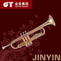 Golden Voice Group Golden Voice JYTR-2000 Small Number of B Trumpet Manufacturer Self-employed School Music Team Teacher Recommendation