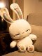 Vockoo Little Rabbit Plush Toy Doll Girl Pillow Doll Children's Girls Birthday Christmas New Year Gift