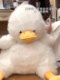 Dundun Duck Plush Toy Doll Duck Stuffed Animal Pillow Sleeping Pillow for Children Girls Christmas New Year Gift