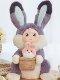 Celebrity Electric Rabbit Plush Toy Doll Singing Soothing Children's Gift Birthday Christmas New Year Gift