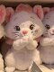 British Vockoo Mary Cat Plush Toy Doll for Kidsren and Girls Birthday Christmas New Year Gift