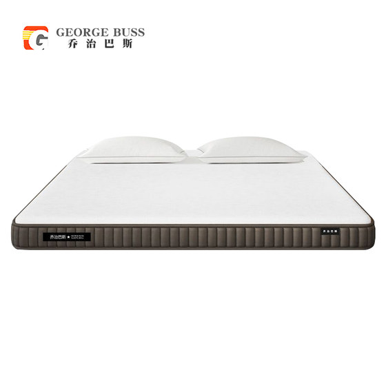 George Bass Thin Mattress for Adults, Children, and the Elderly, Spine and Waist Protection, Coconut Palm Hard Mattress, Bunk Bed, Latex Tatami