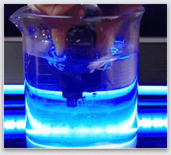 20260402_160229_016.gif