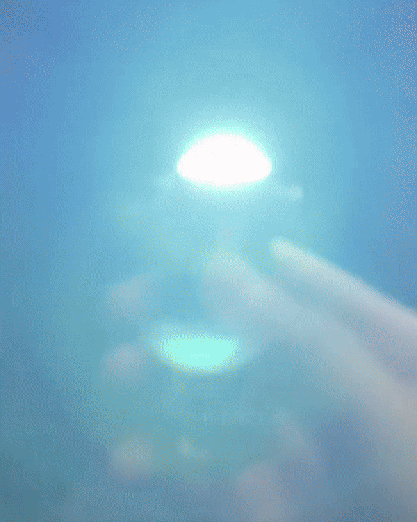 P_012.gif