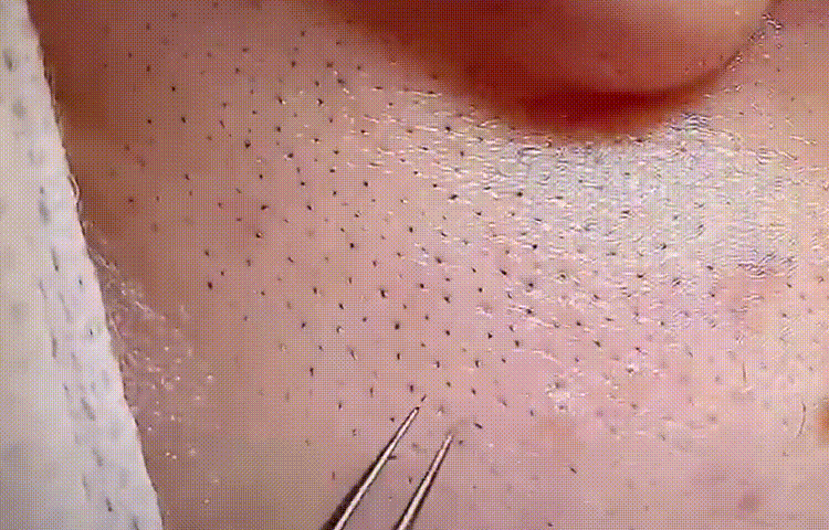 20260812_161240_008.gif